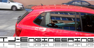 TJE Carbon Dachspoiler passend für Polo 5 V